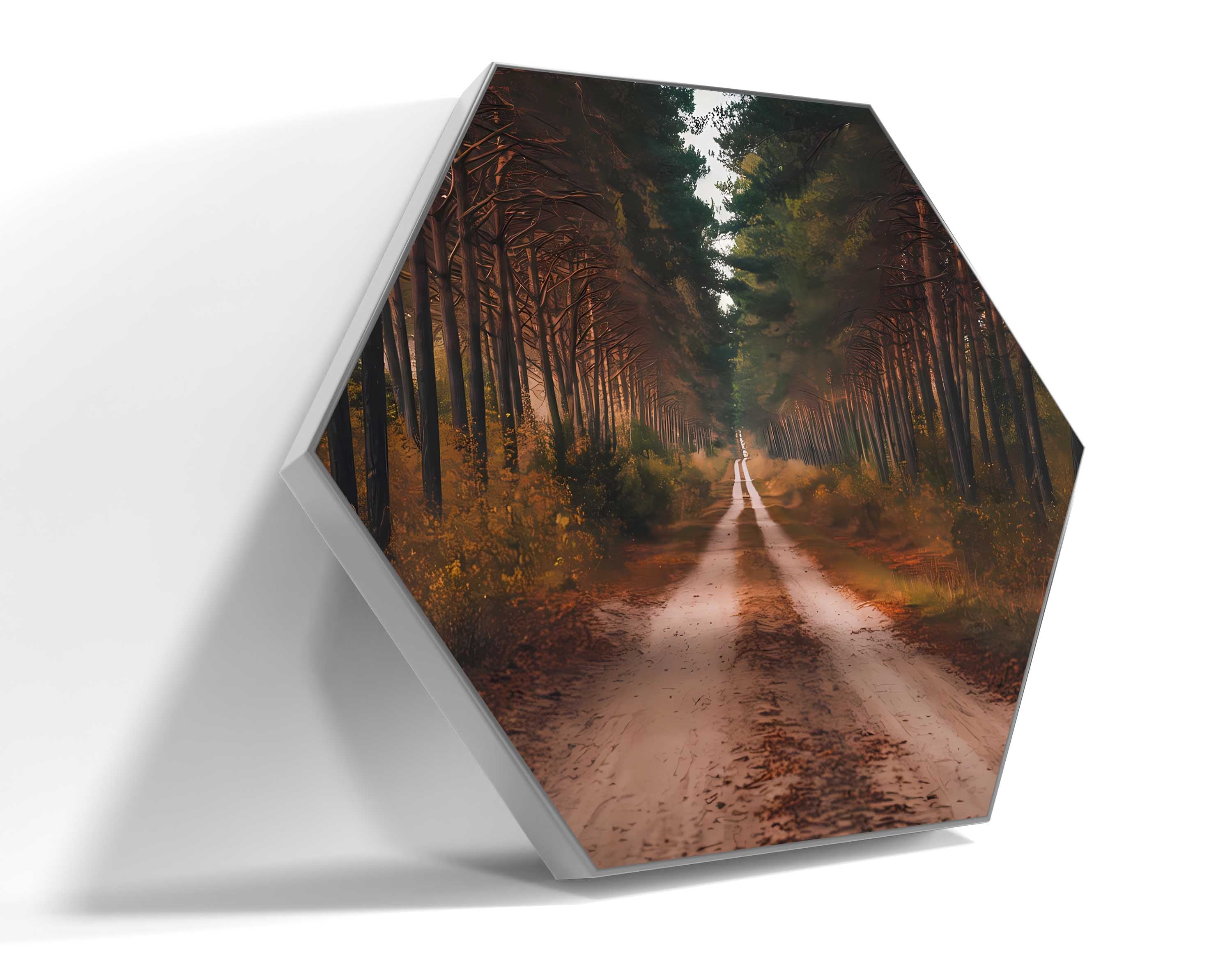 Forest Retreat: A Road to Serenity