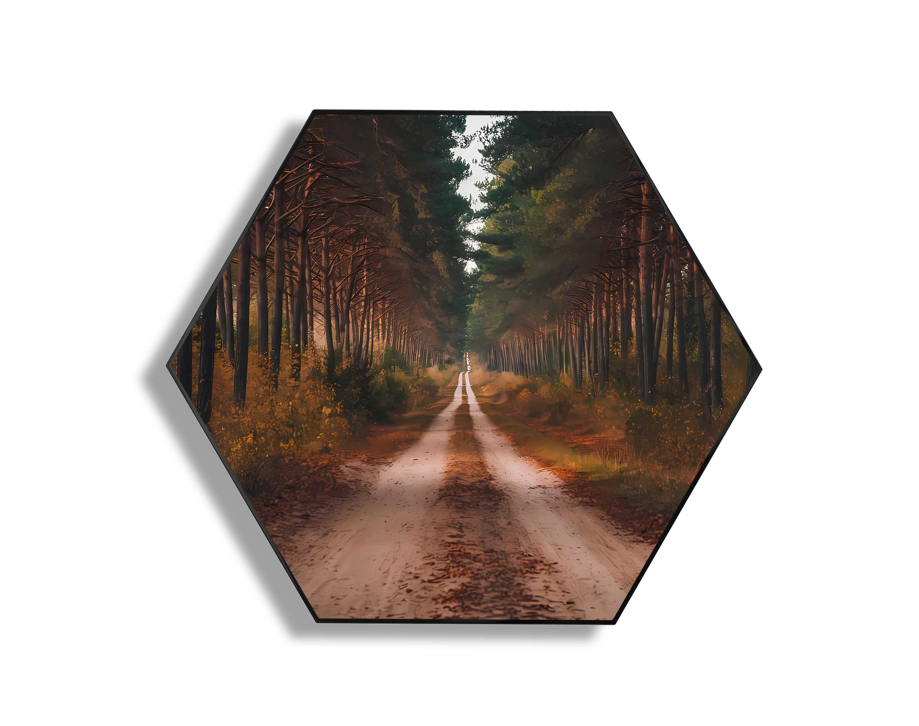 Forest Retreat: A Road to Serenity