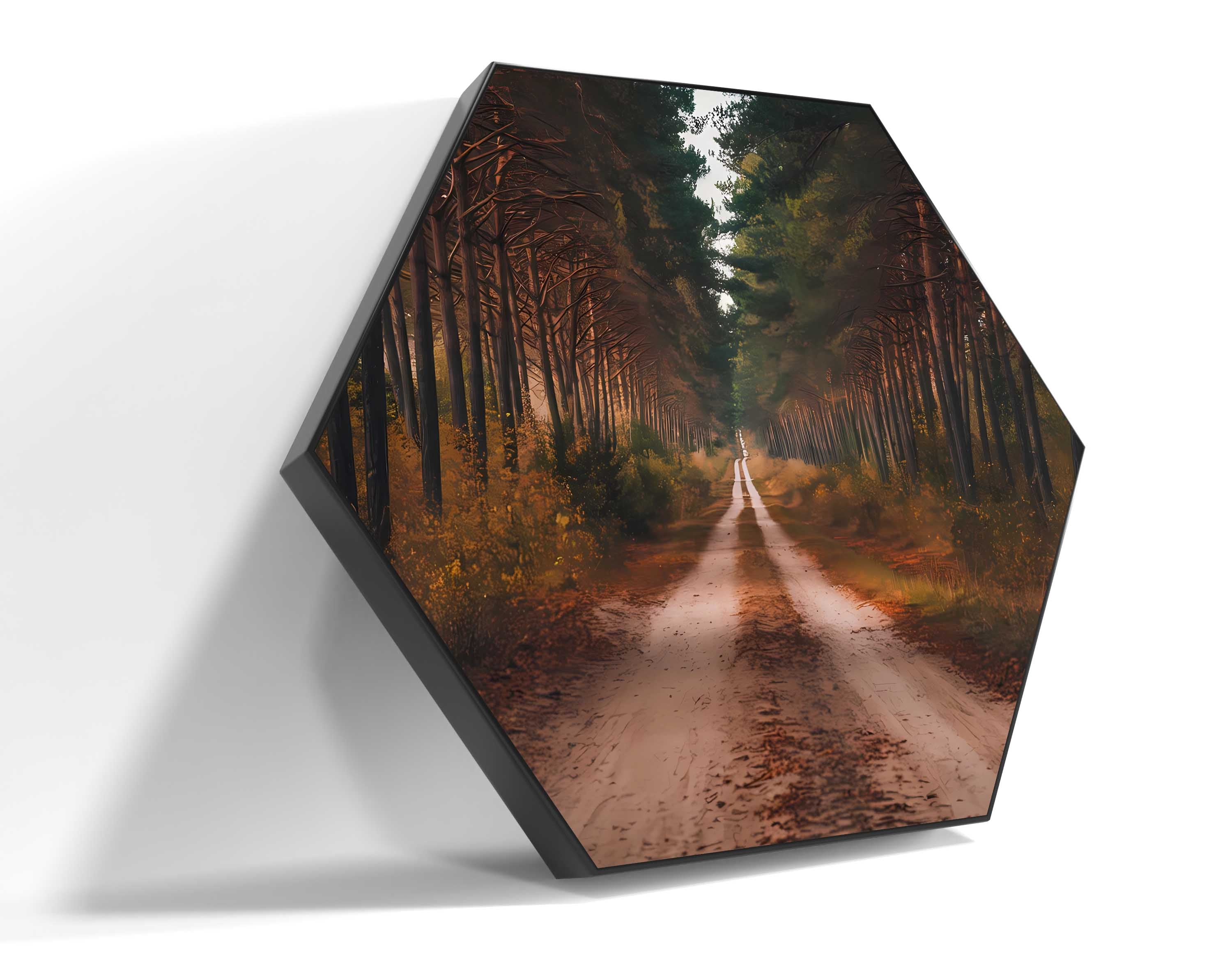 Forest Retreat: A Road to Serenity