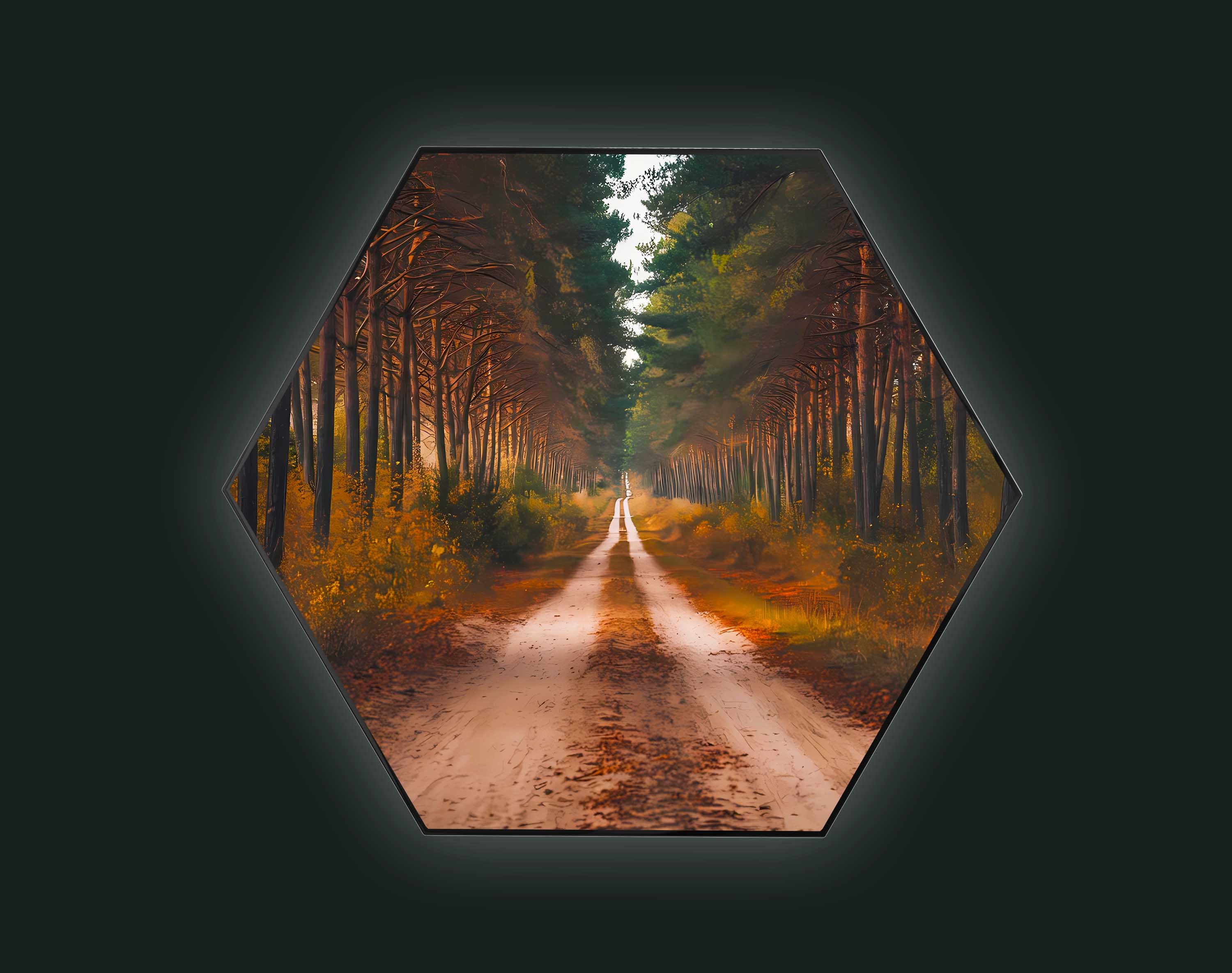 Forest Retreat: A Road to Serenity