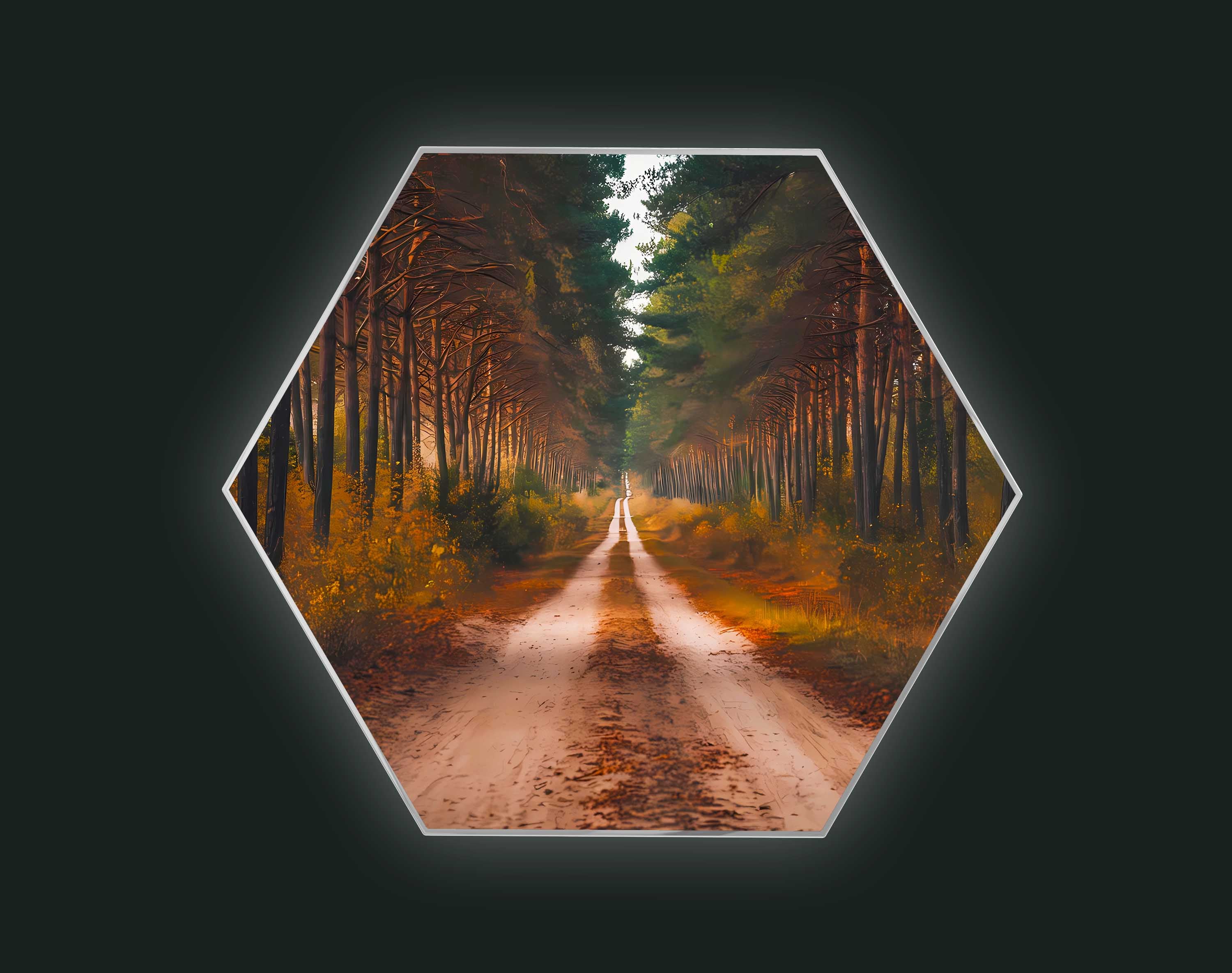 Forest Retreat: A Road to Serenity