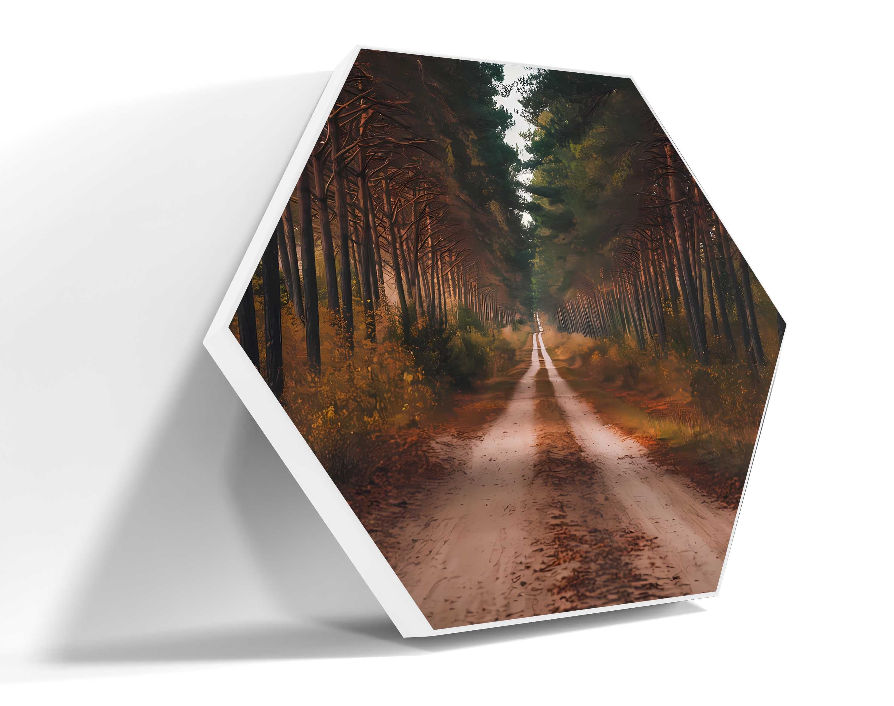 Forest Retreat: A Road to Serenity