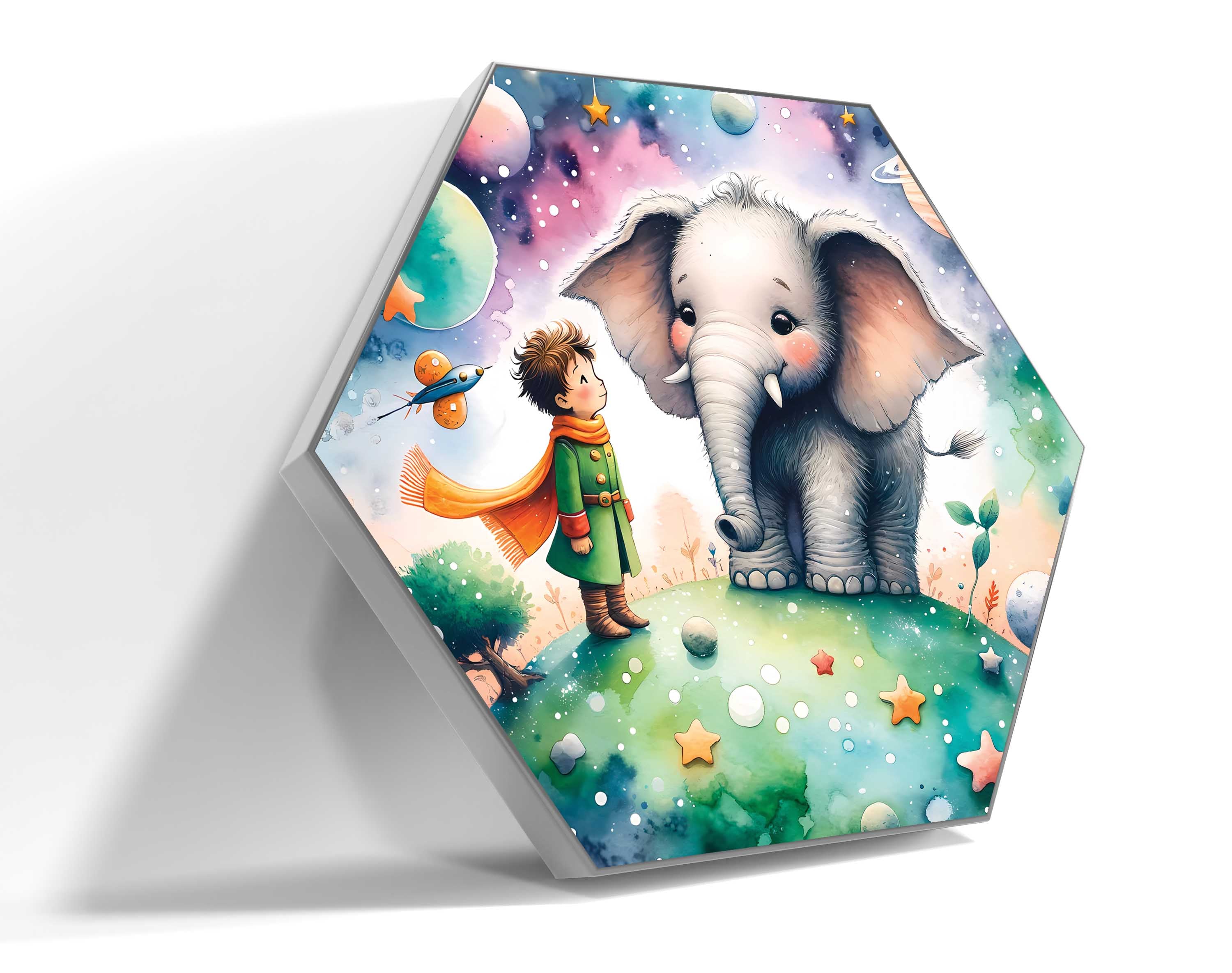 Little Boy and Elephant