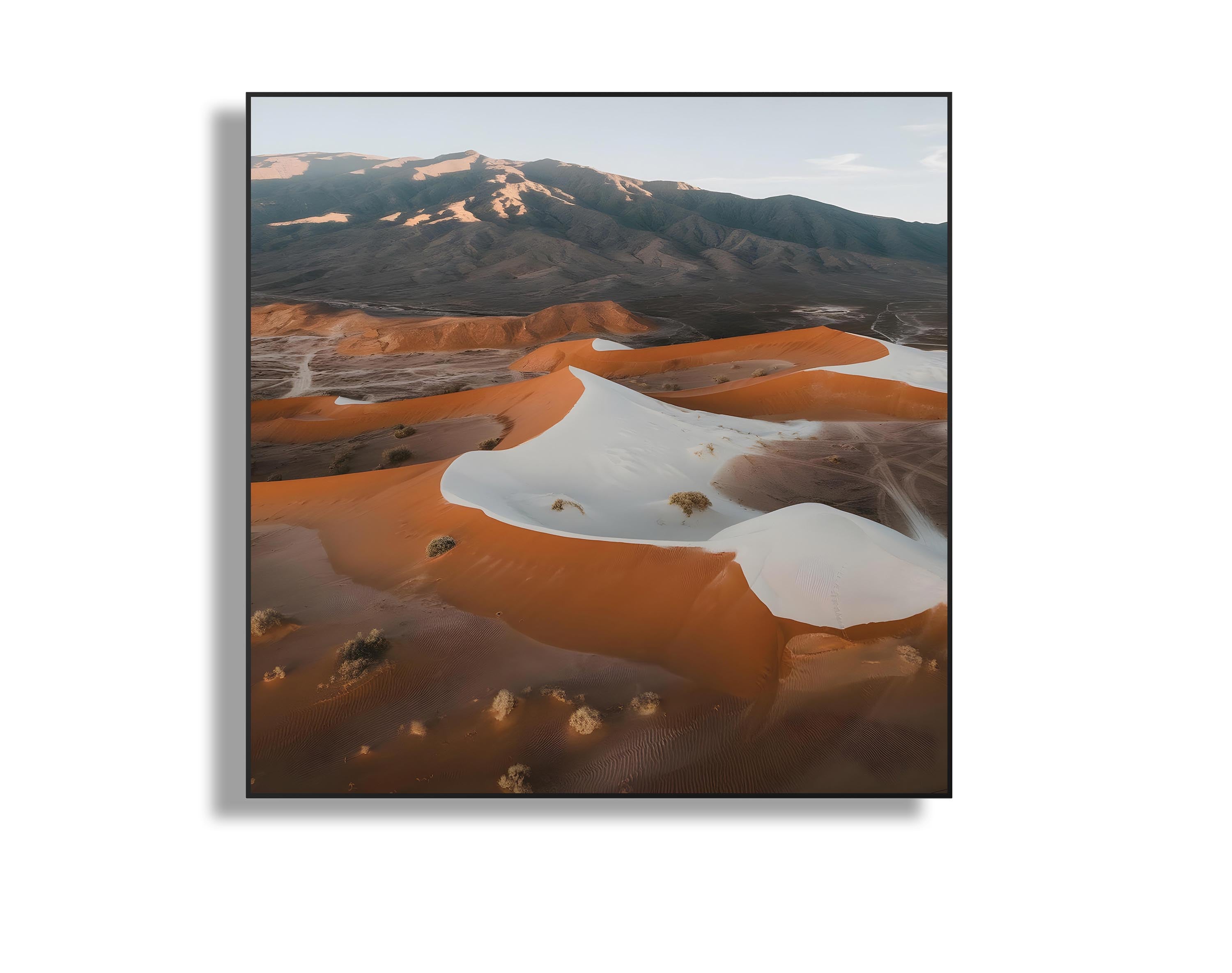 Dunes in Harmony